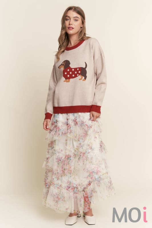 Dachshund Color Block Sweater