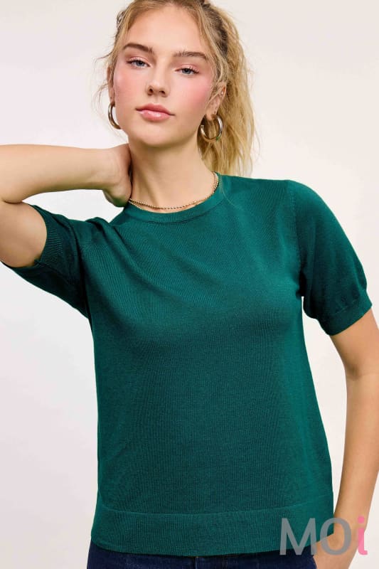 Soft Short Puffy Sleeve Basic Stretchy Knit Top