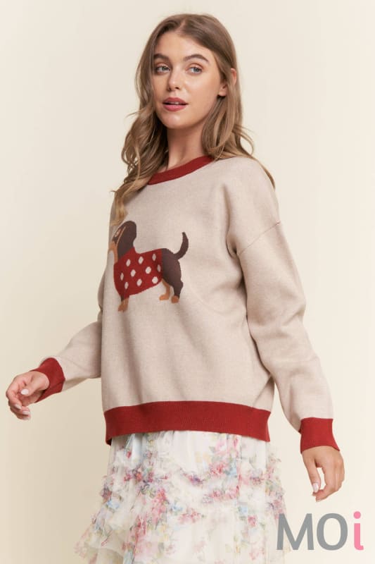 Dachshund Color Block Sweater