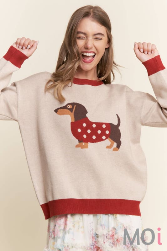 Dachshund Color Block Sweater