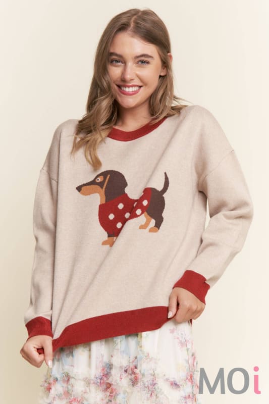 Dachshund Color Block Sweater
