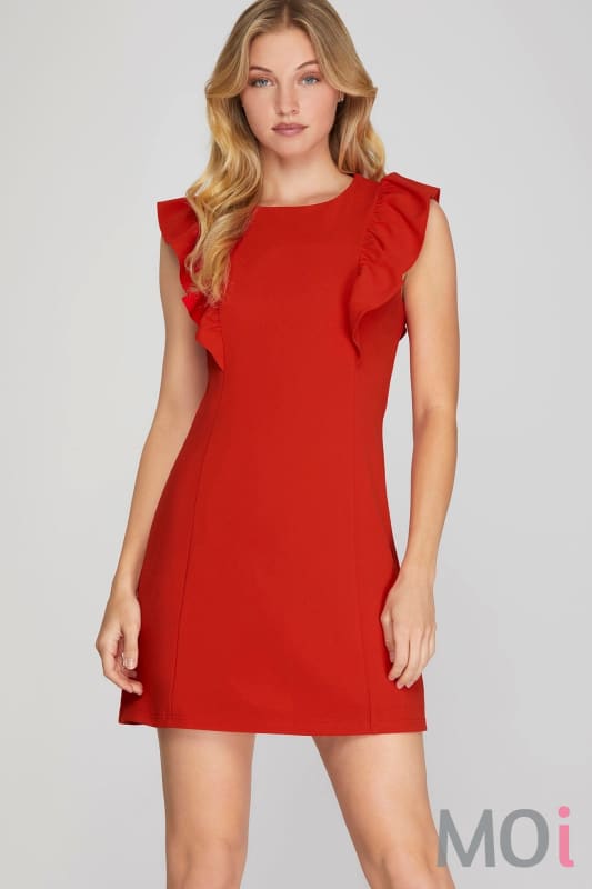 Ruffle Sleeve Dress