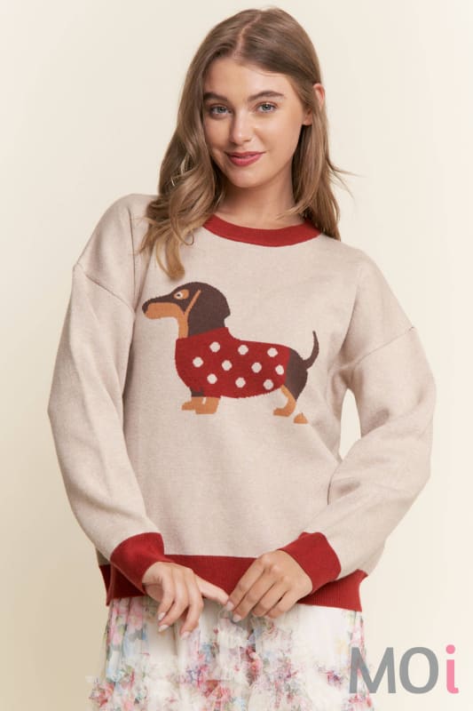 Dachshund Color Block Sweater
