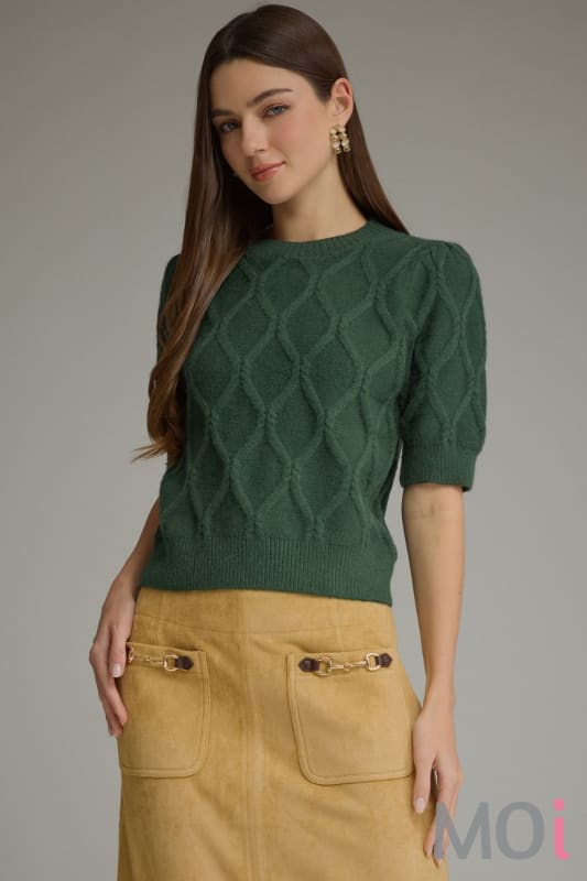 Short  Sleeve Knit Sweater