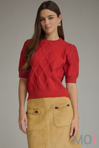 Short  Sleeve Knit Sweater