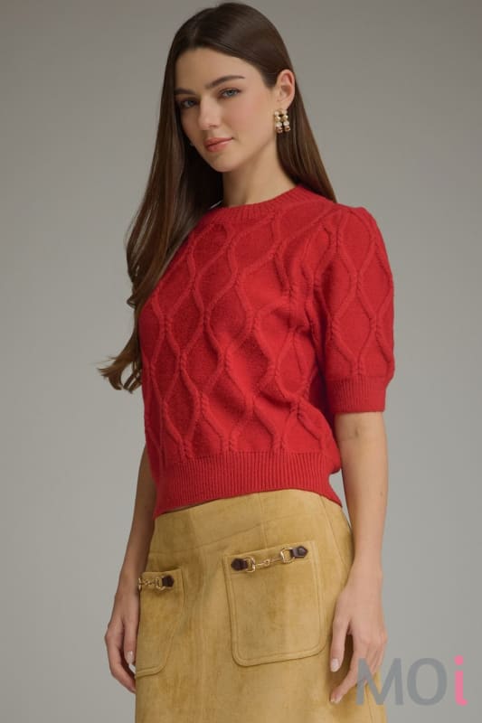 Short  Sleeve Knit Sweater
