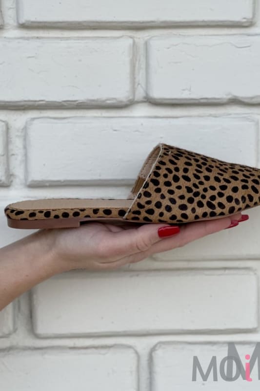 Agnetta Cheetah Mule Shoes